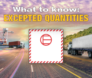 What are Excepted Quantities?